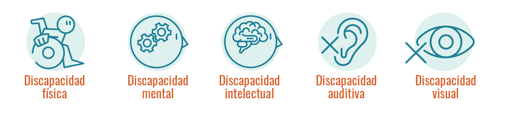 esquema tipos de discapacidad