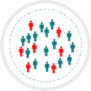 inclusion